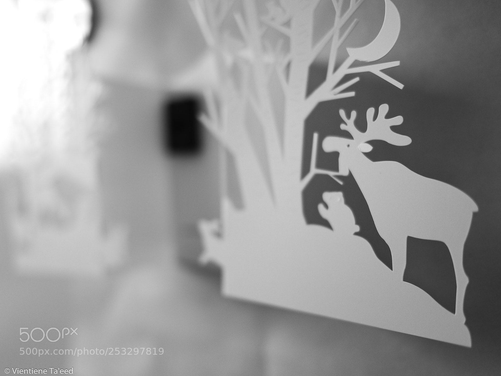 Panasonic Lumix DMC-G5 sample photo. Indoor reindeer photography