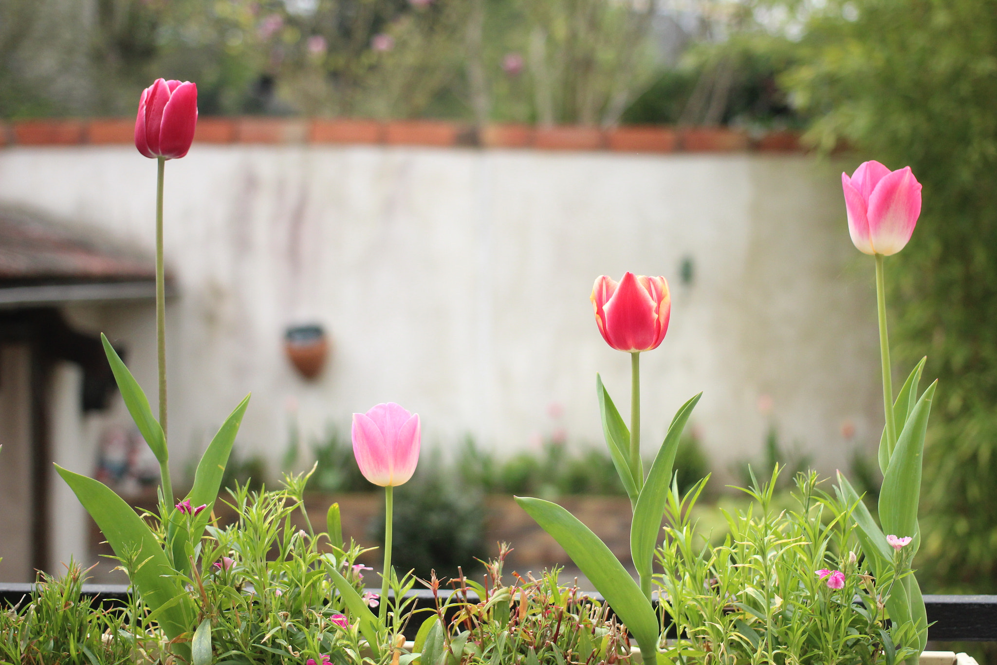 Canon EOS 600D (Rebel EOS T3i / EOS Kiss X5) + Canon EF 40mm F2.8 STM sample photo. Img photography