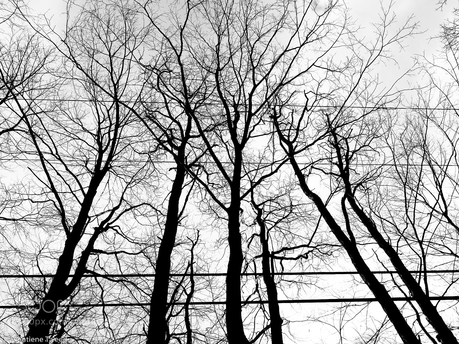 Panasonic Lumix DMC-G5 sample photo. Towering photography