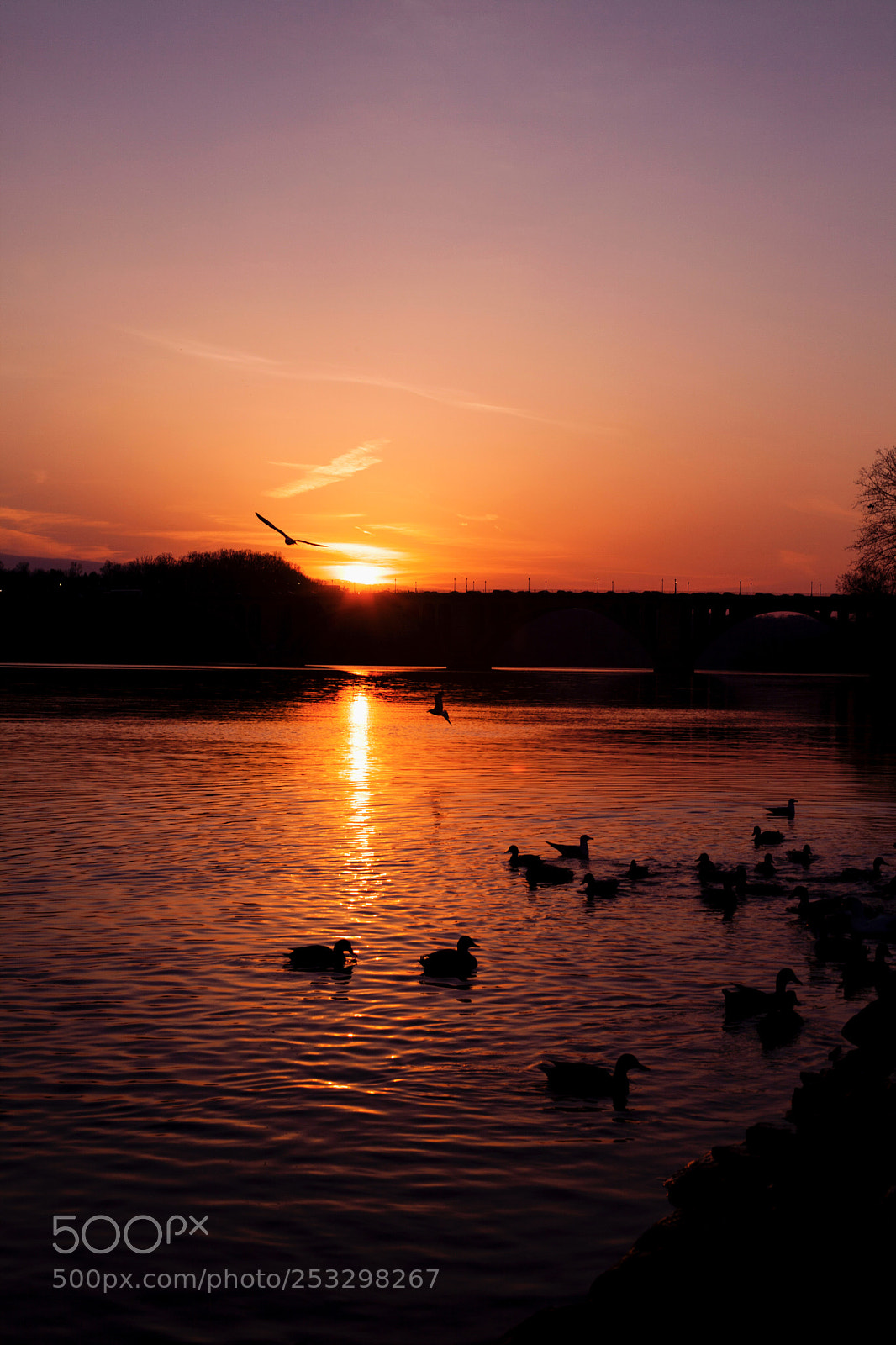 Canon EOS 5D Mark II sample photo. Before sunset photography