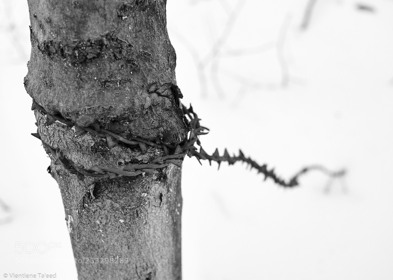 Panasonic Lumix DMC-G5 sample photo. Pain photography