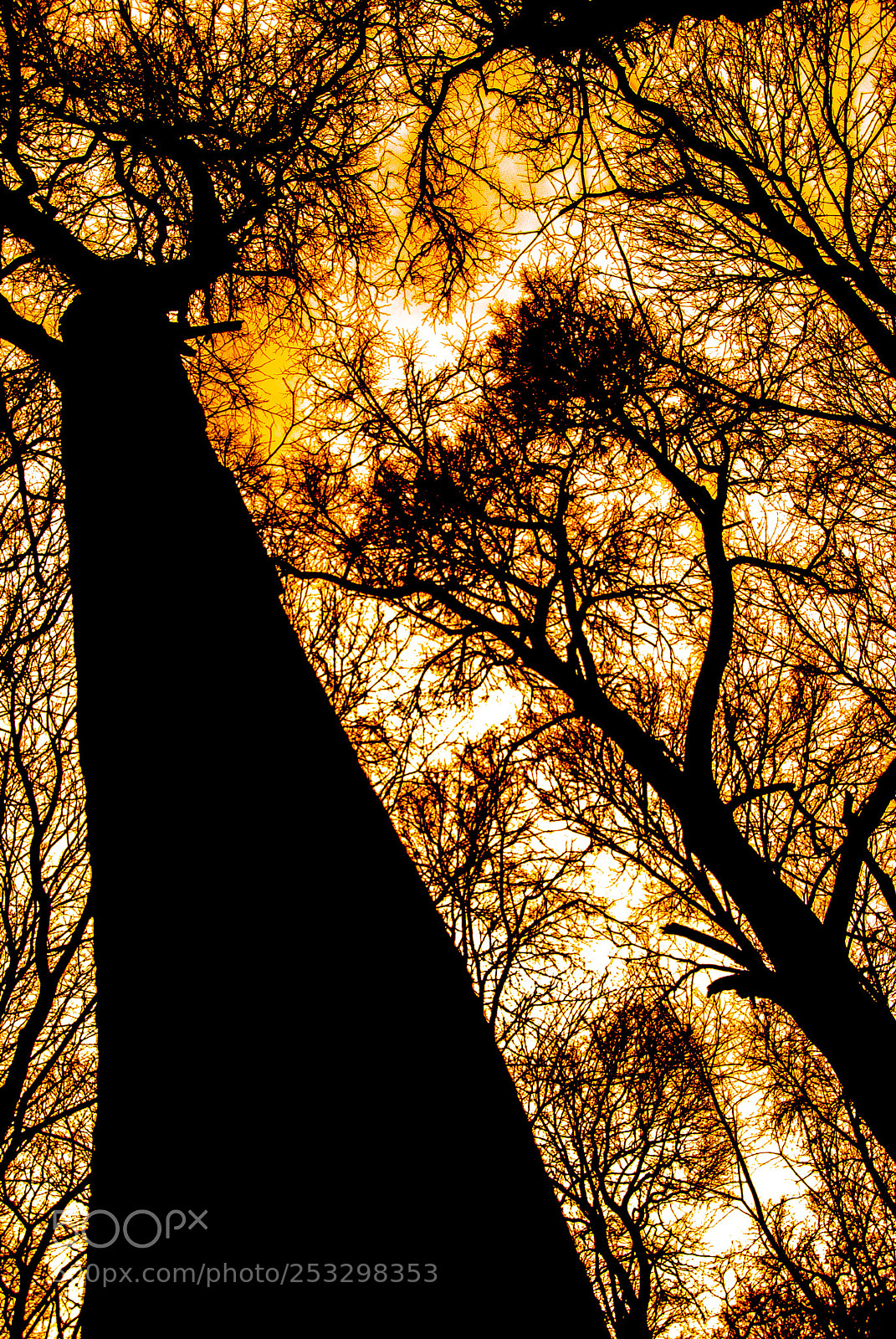 Nikon D3000 sample photo. Sages of old world photography