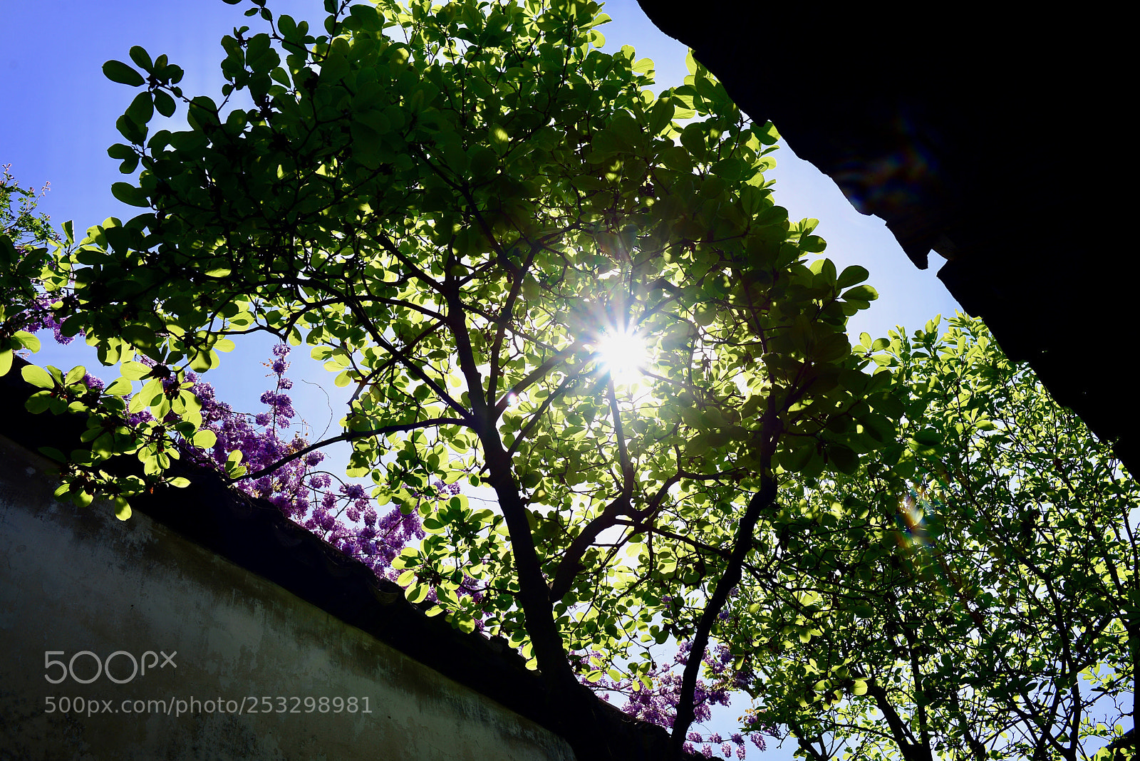 Nikon D610 sample photo. 光 photography