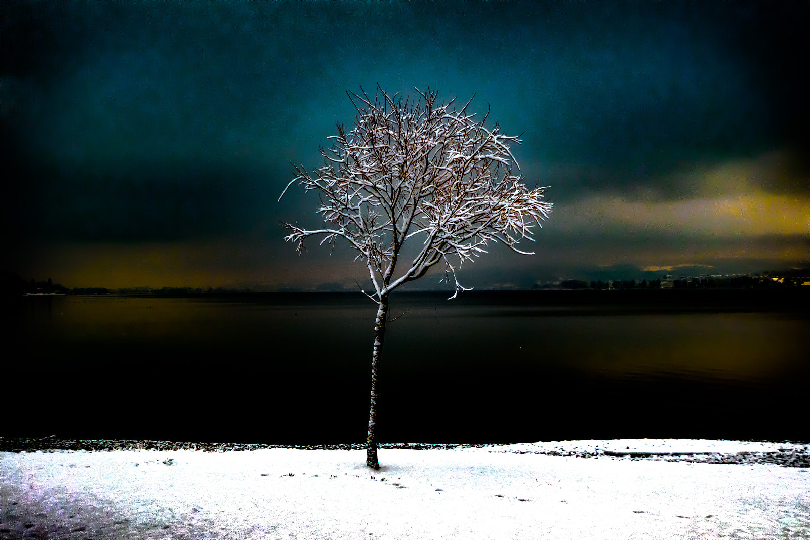Panasonic DC-TZ91 sample photo. Baum am see im winter photography