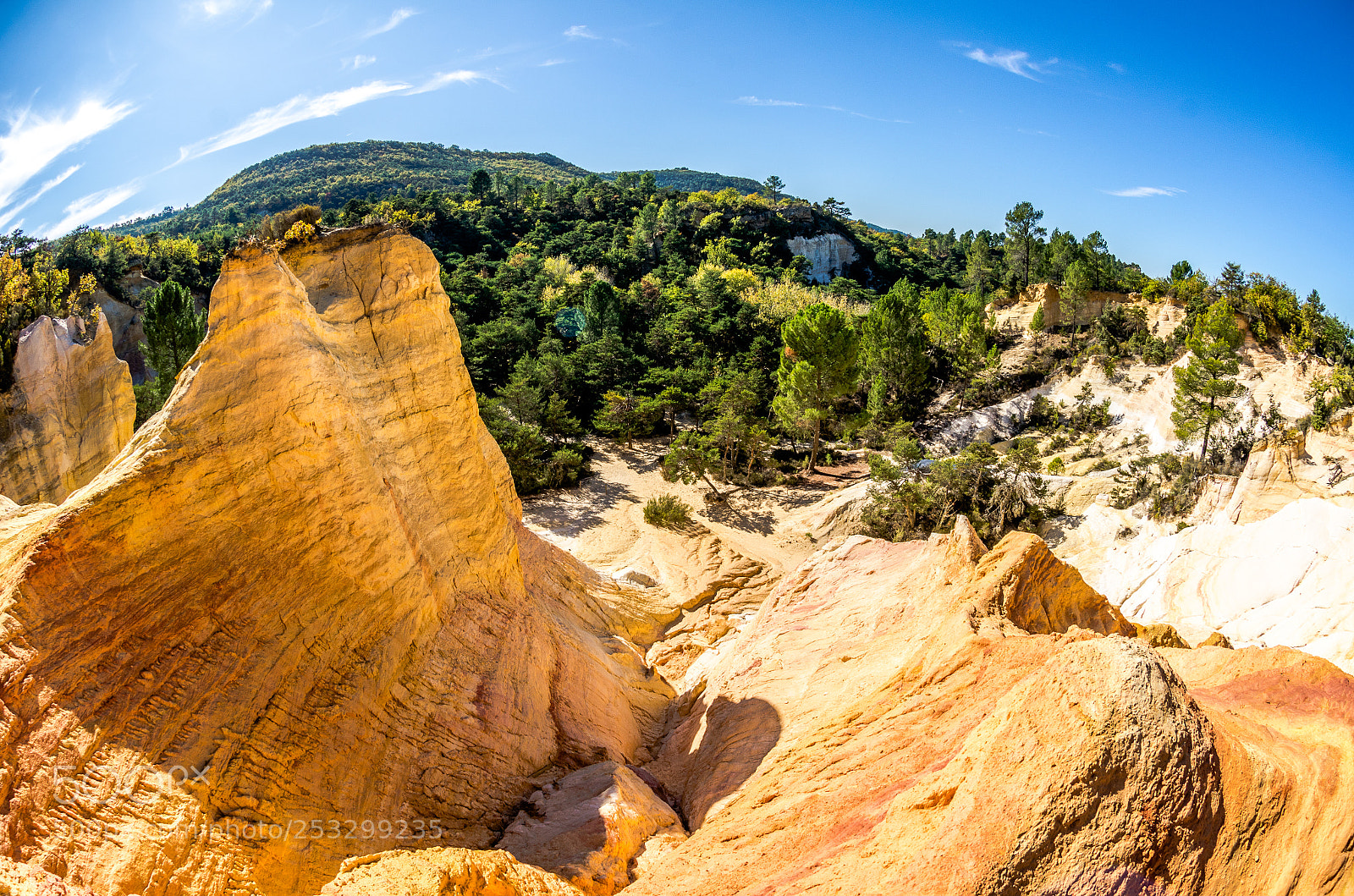 Nikon D7000 sample photo. Colorado provençal photography