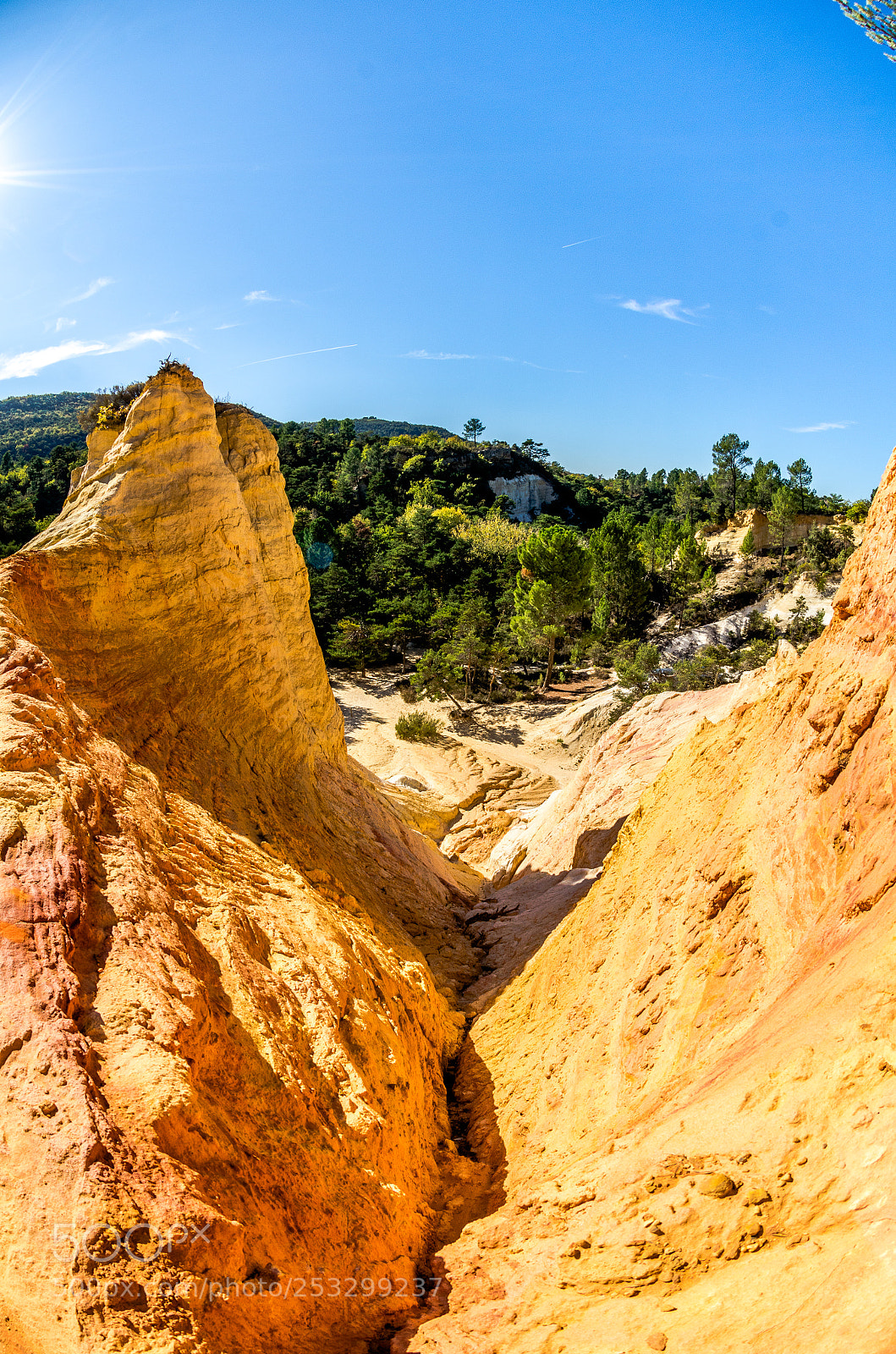 Nikon D7000 sample photo. Colorado provençal photography