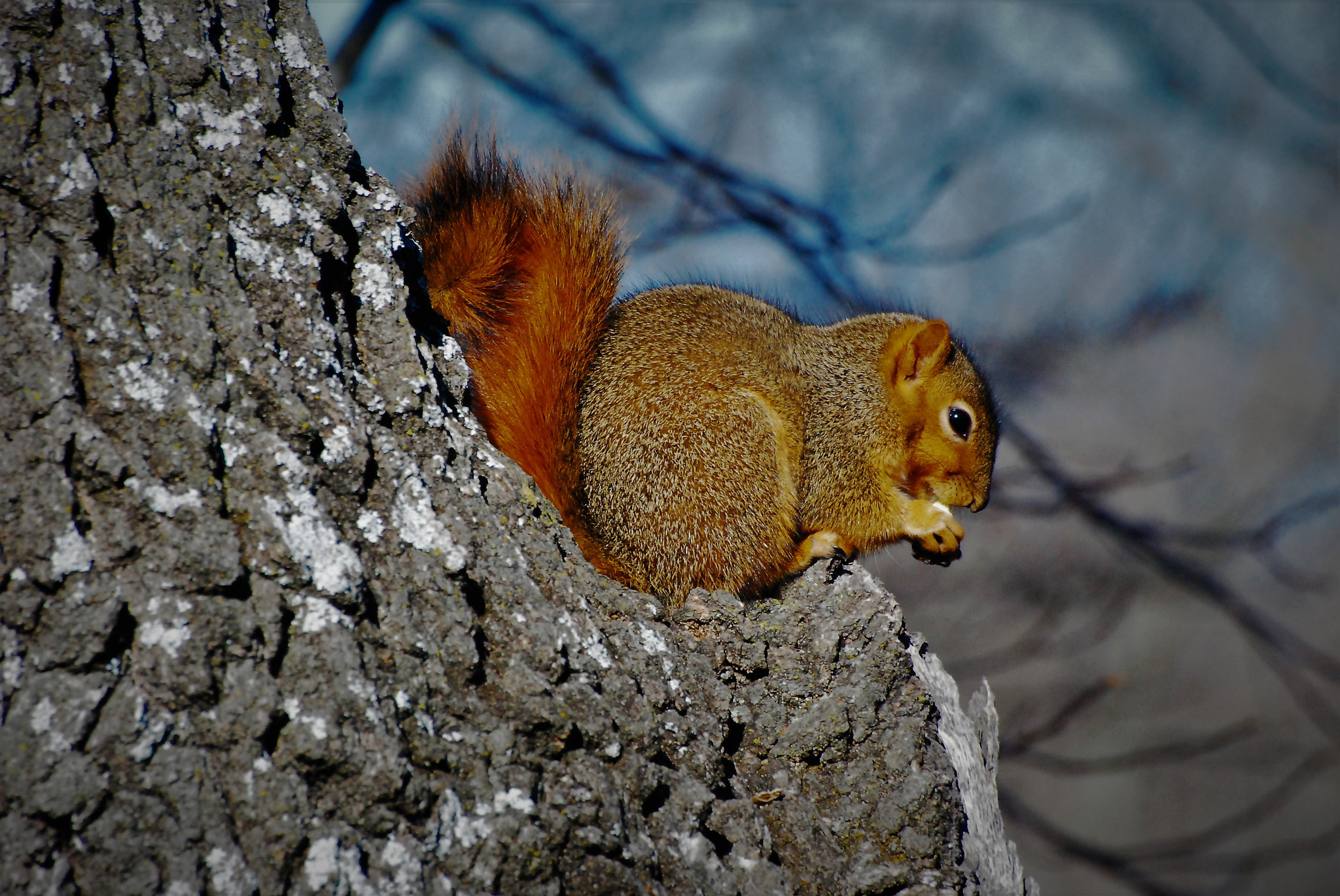 Nikon D80 sample photo. Perfect pocket photography