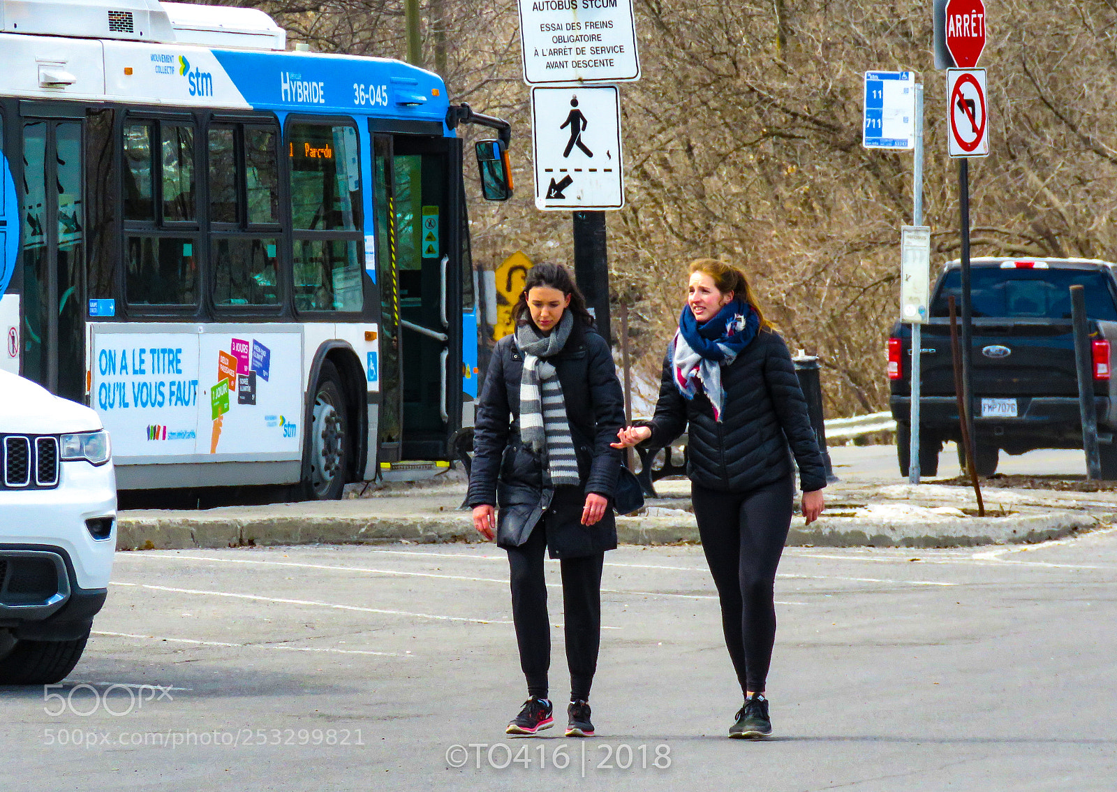 Canon PowerShot SX60 HS sample photo. Toronto montreal photography