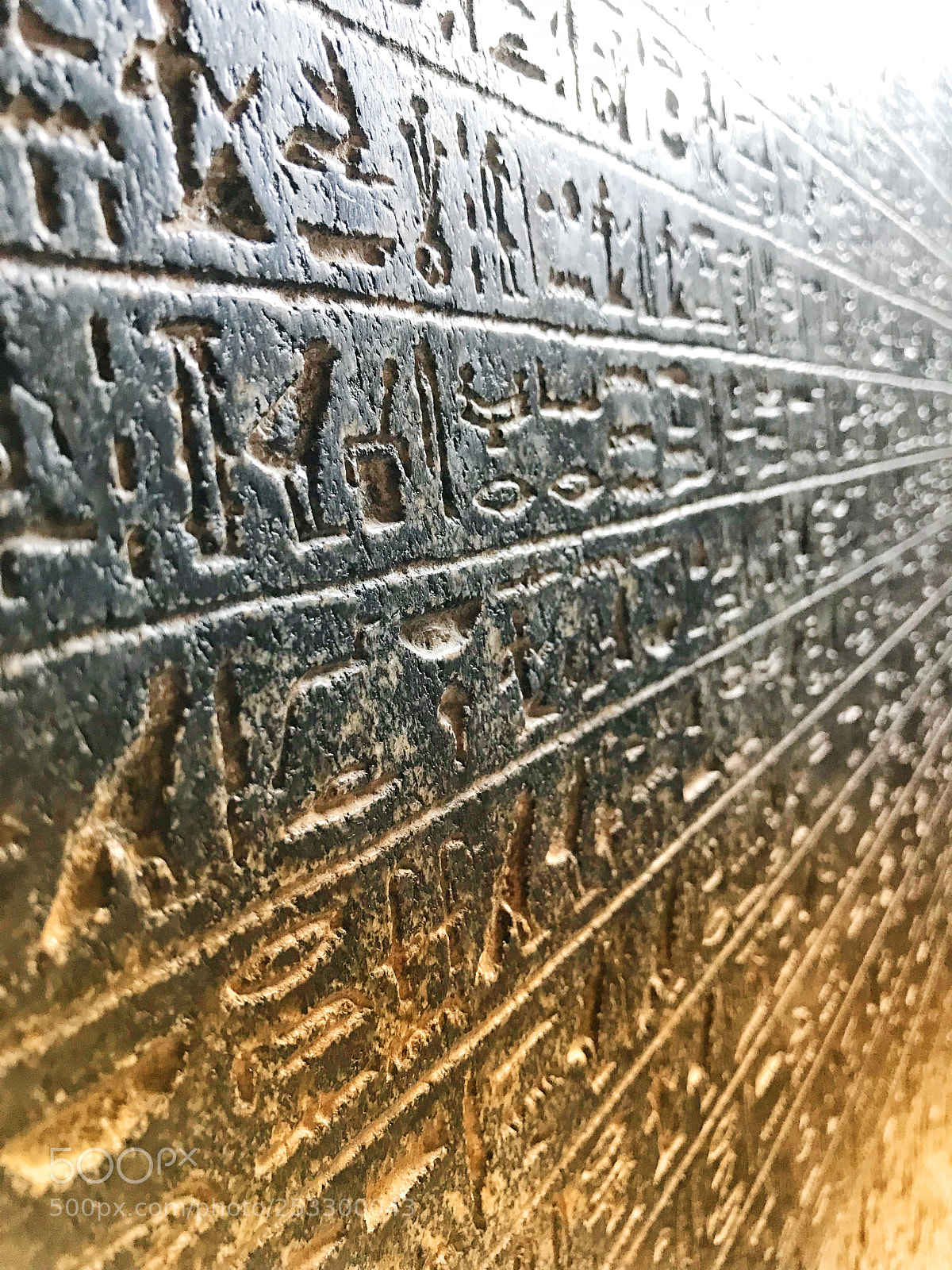 Apple iPhone 7 sample photo. Untitled photography