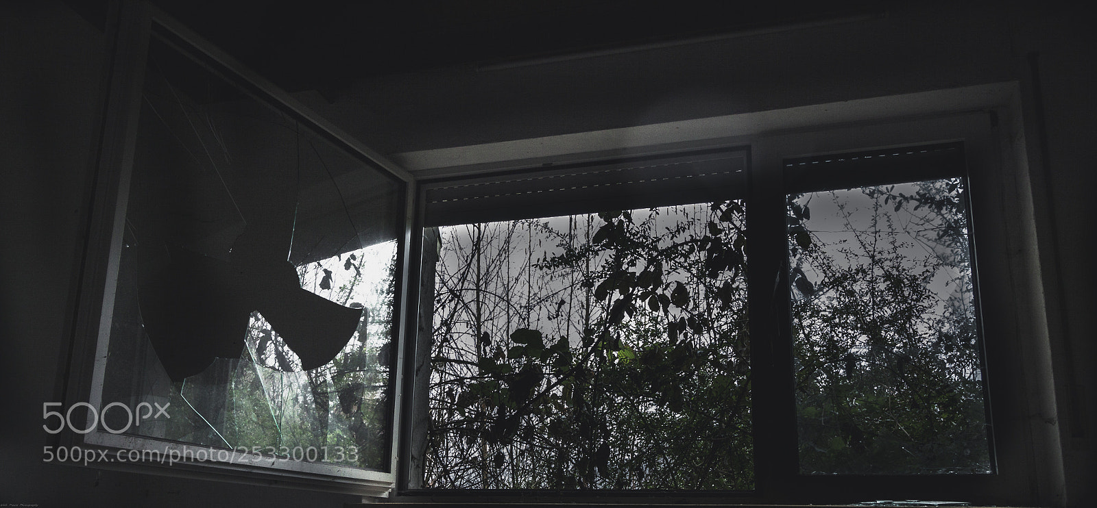 Canon EOS 50D sample photo. Morbid photography