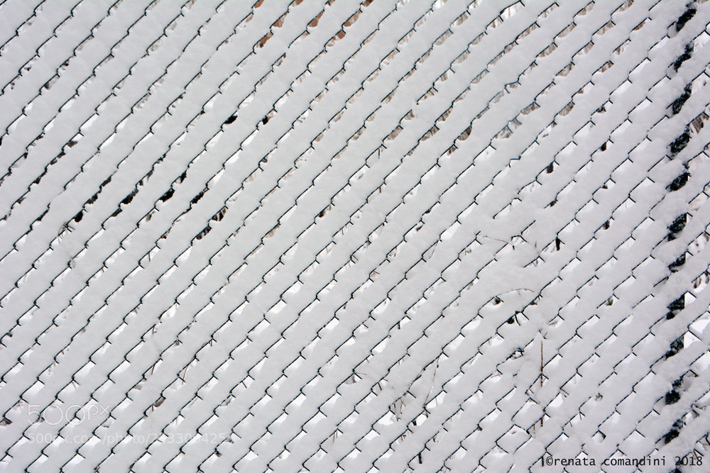 Nikon D5200 sample photo. Quasi texture photography