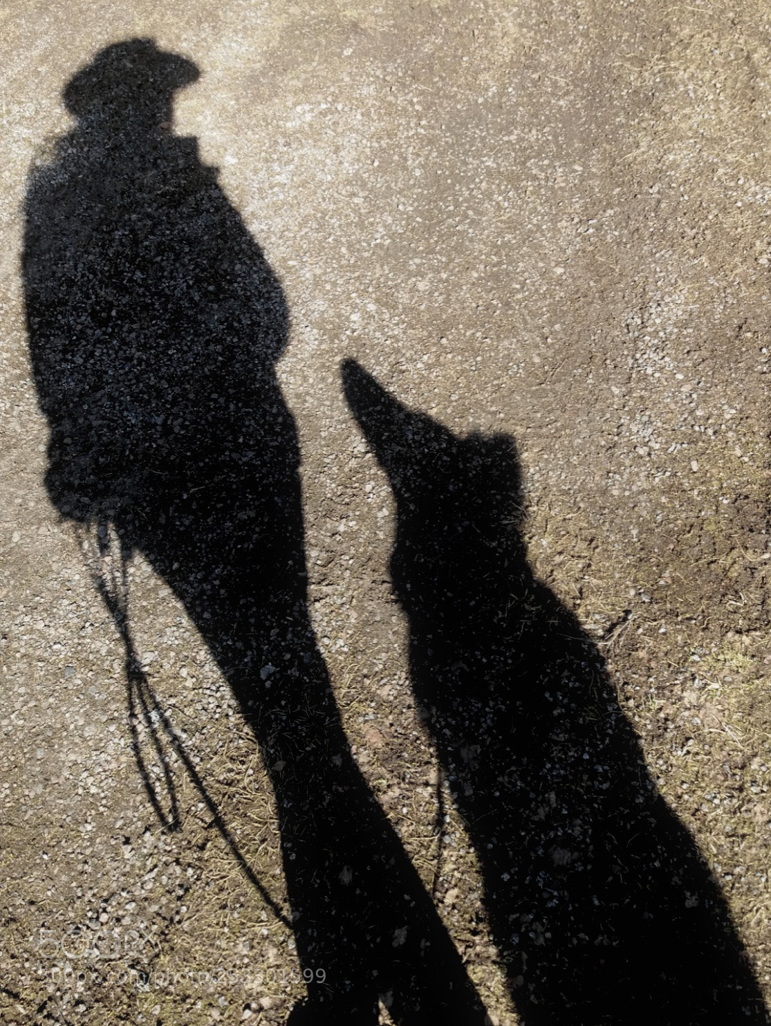 Samsung Galaxy J5(2016) sample photo. Dog and me photography