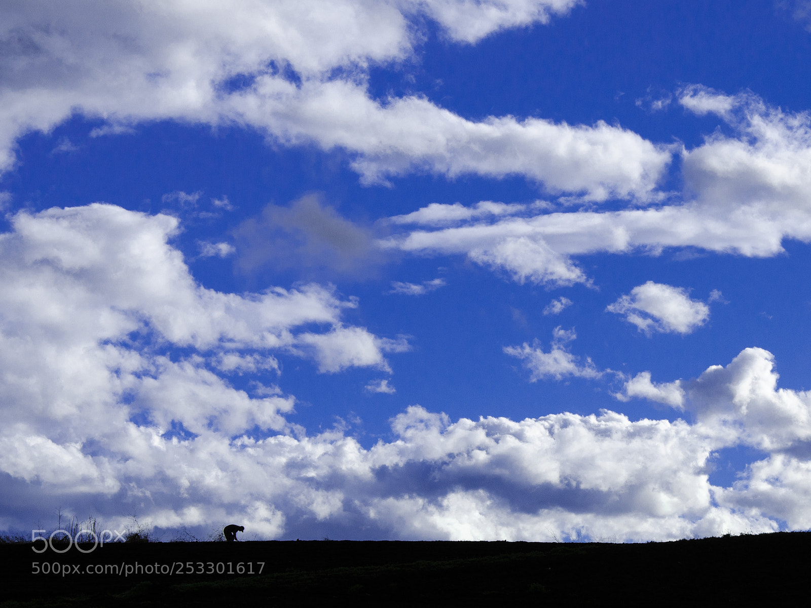 Nikon D7000 sample photo. Farm work photography