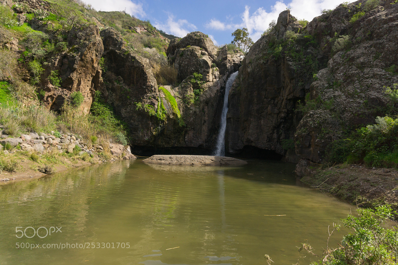 Sony a6000 sample photo. La paloma photography