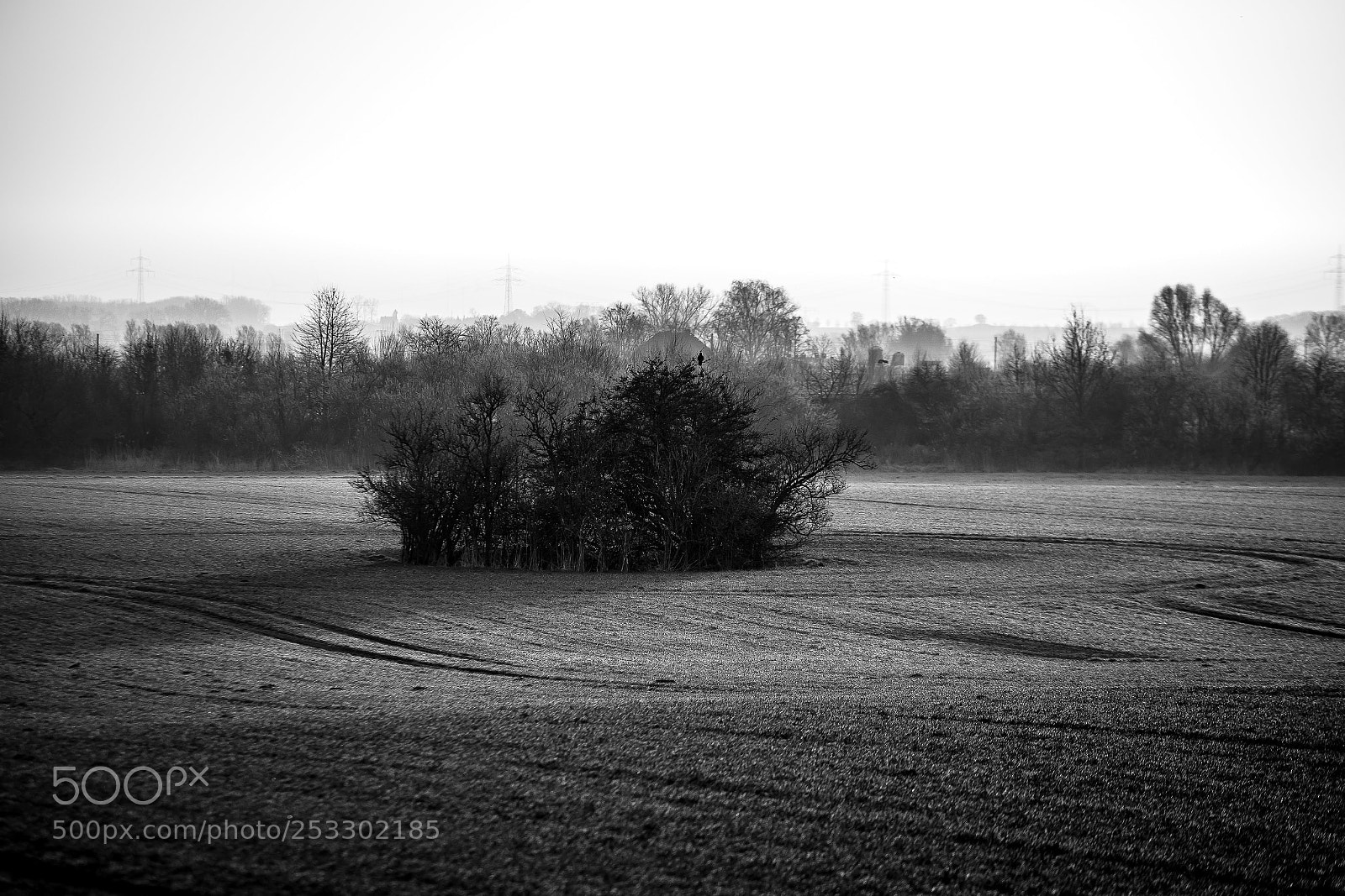 Sony SLT-A99V sample photo. Field in morning sun photography