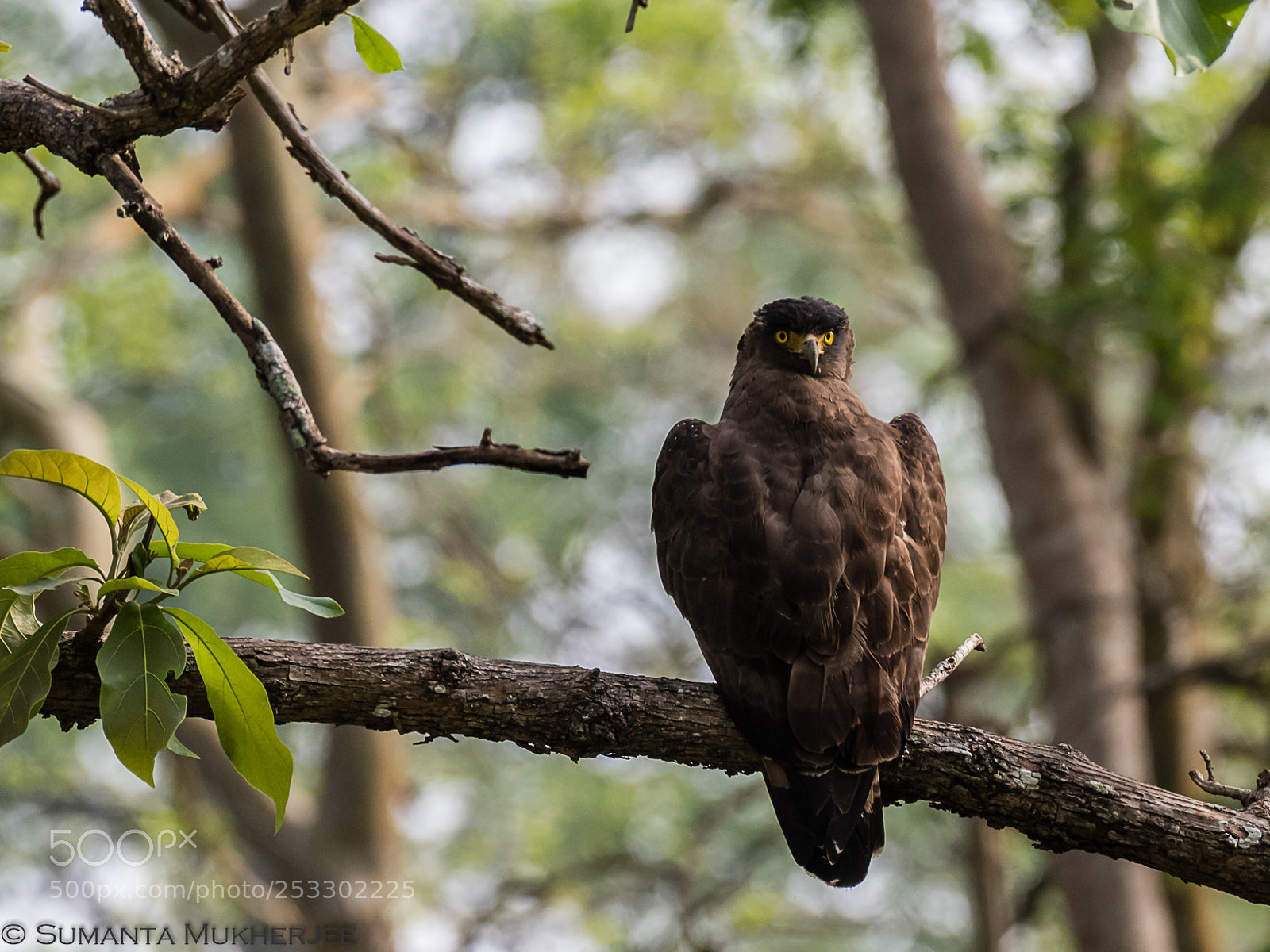 Nikon D810 sample photo. Untitled photography