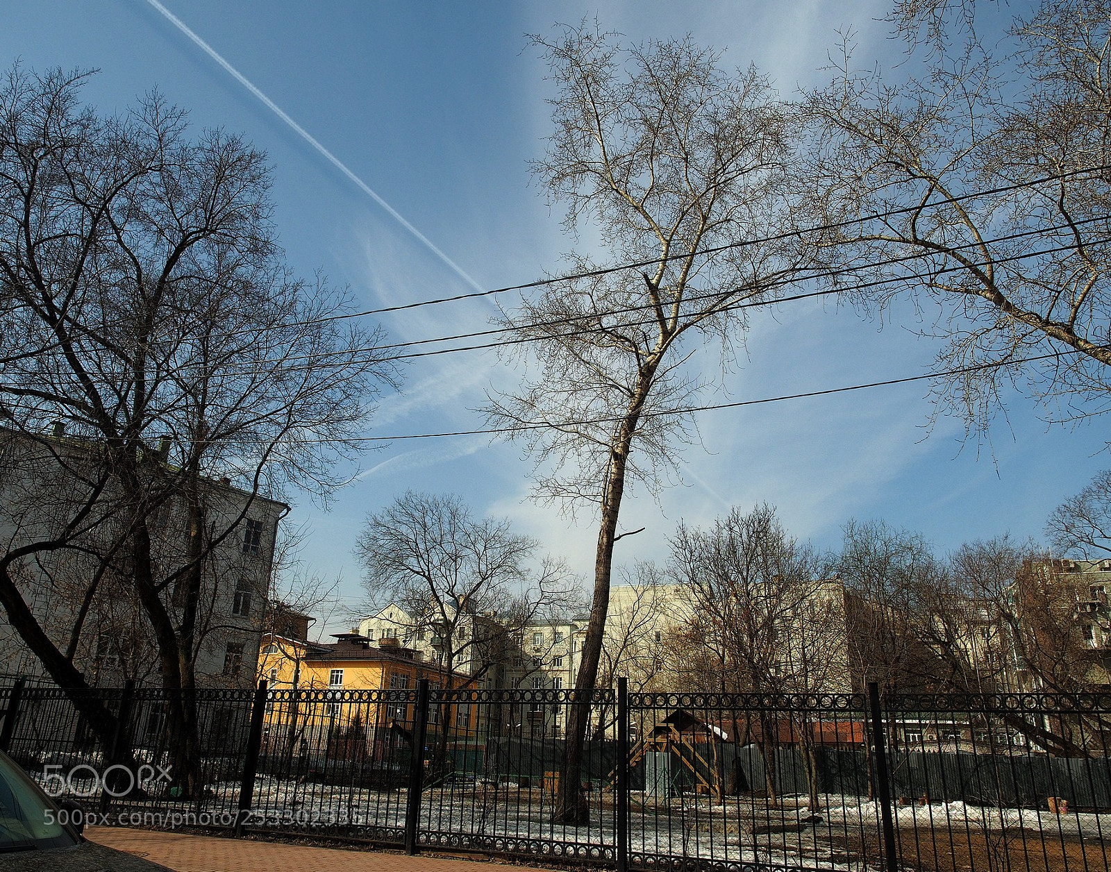 Olympus PEN E-P5 sample photo. Arrival of spring photography