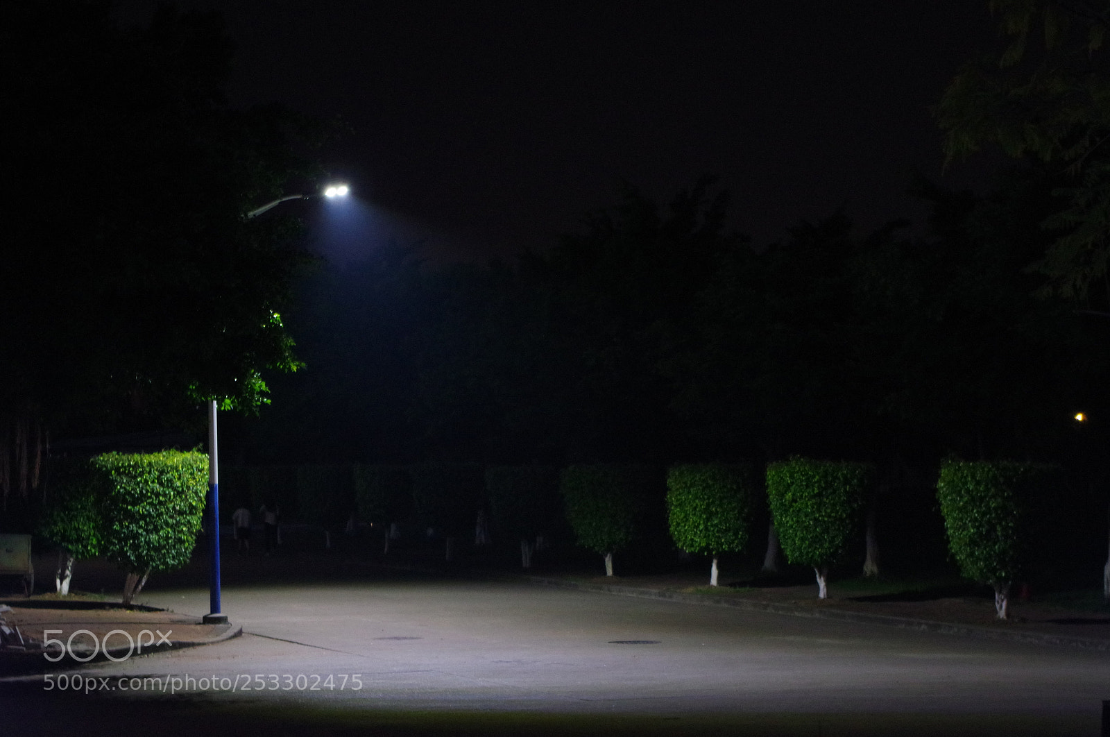 Pentax K-70 sample photo. 微信图片 photography