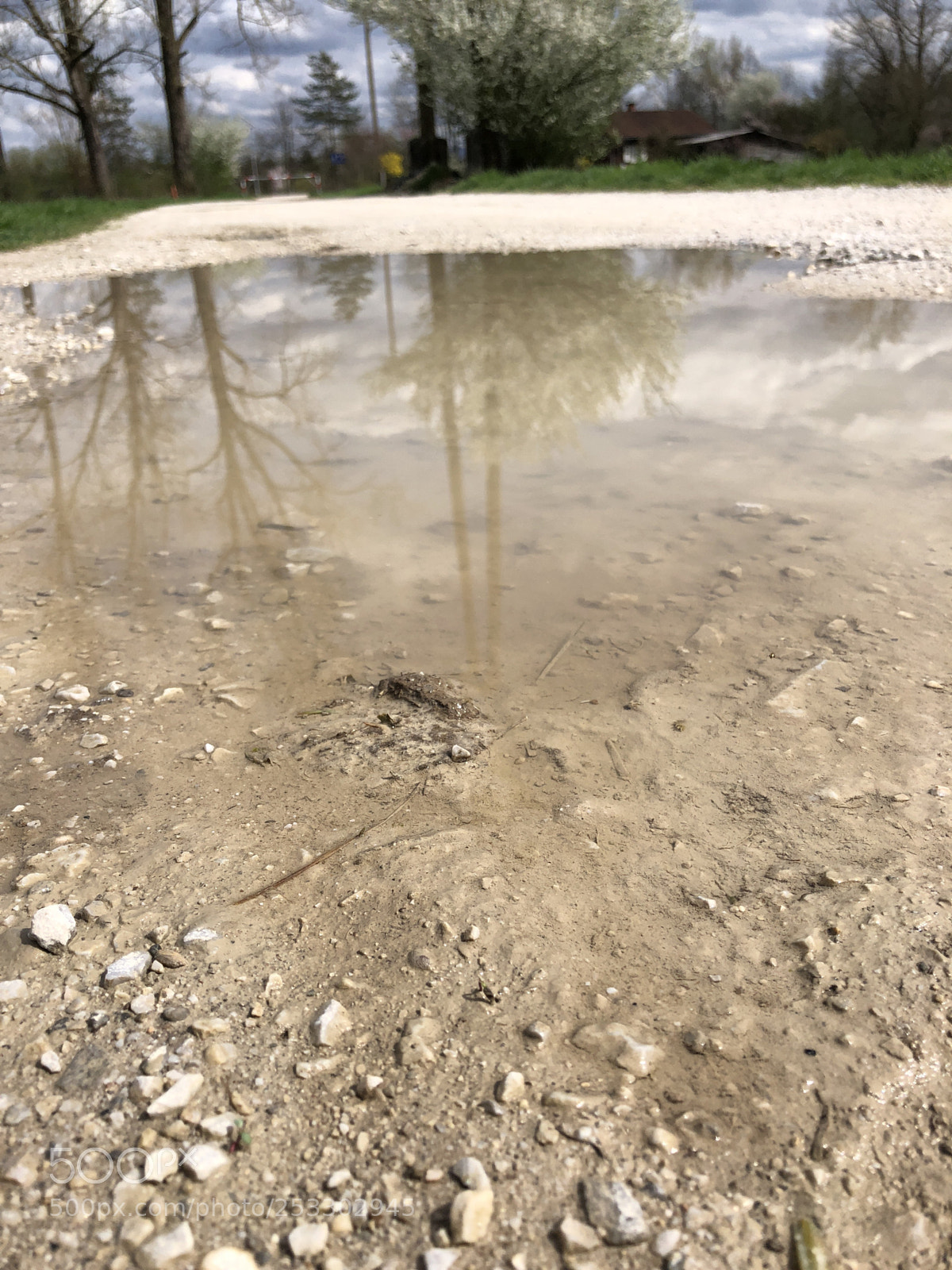 Apple iPhone 8 sample photo. Reflection photography