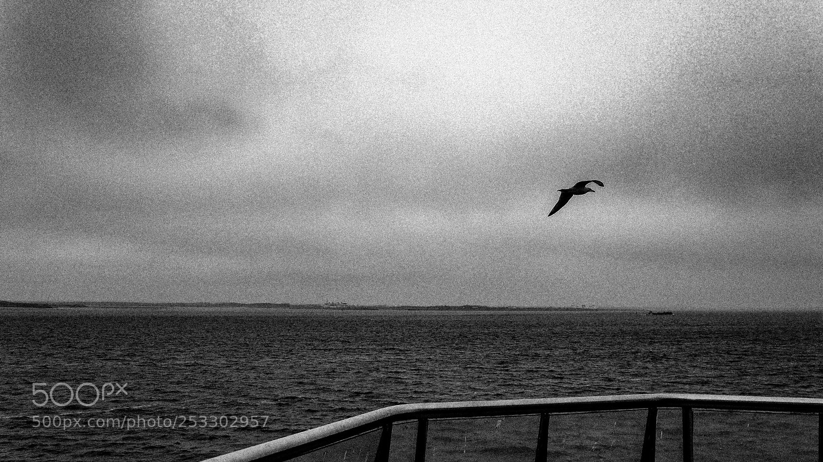 Panasonic Lumix DMC-LX7 sample photo. Sea ​​voyage photography