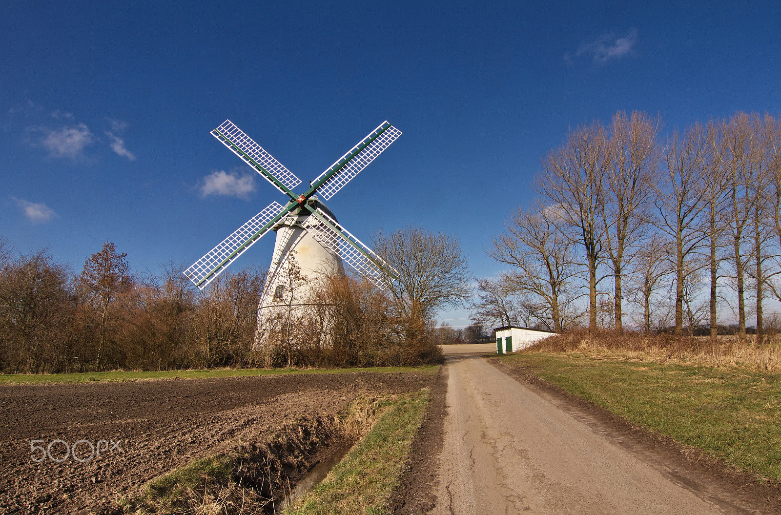 Tokina AT-X Pro 12-24mm F4 (IF) DX sample photo. Betty photography