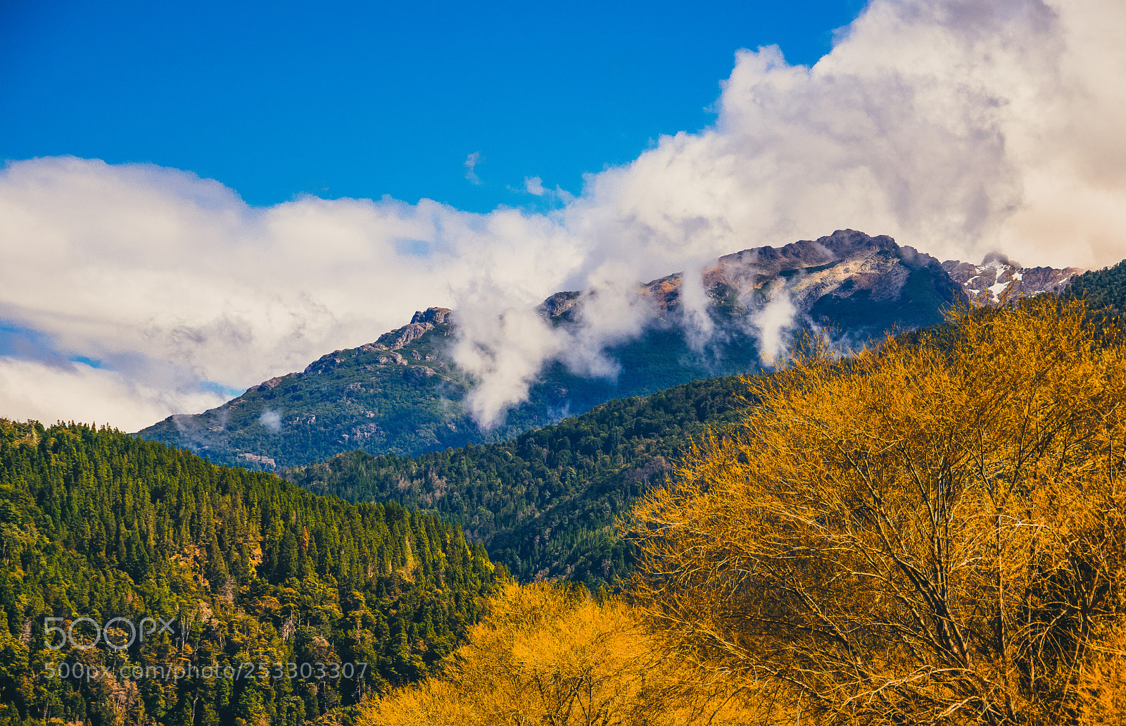 Nikon D3400 sample photo. Monta a junto a photography