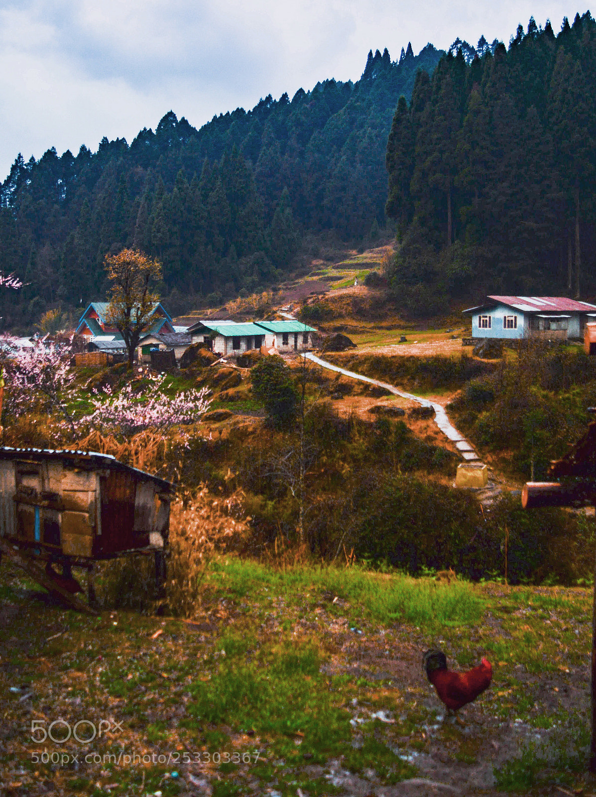 Nikon D3200 sample photo. Gorkhey village photography
