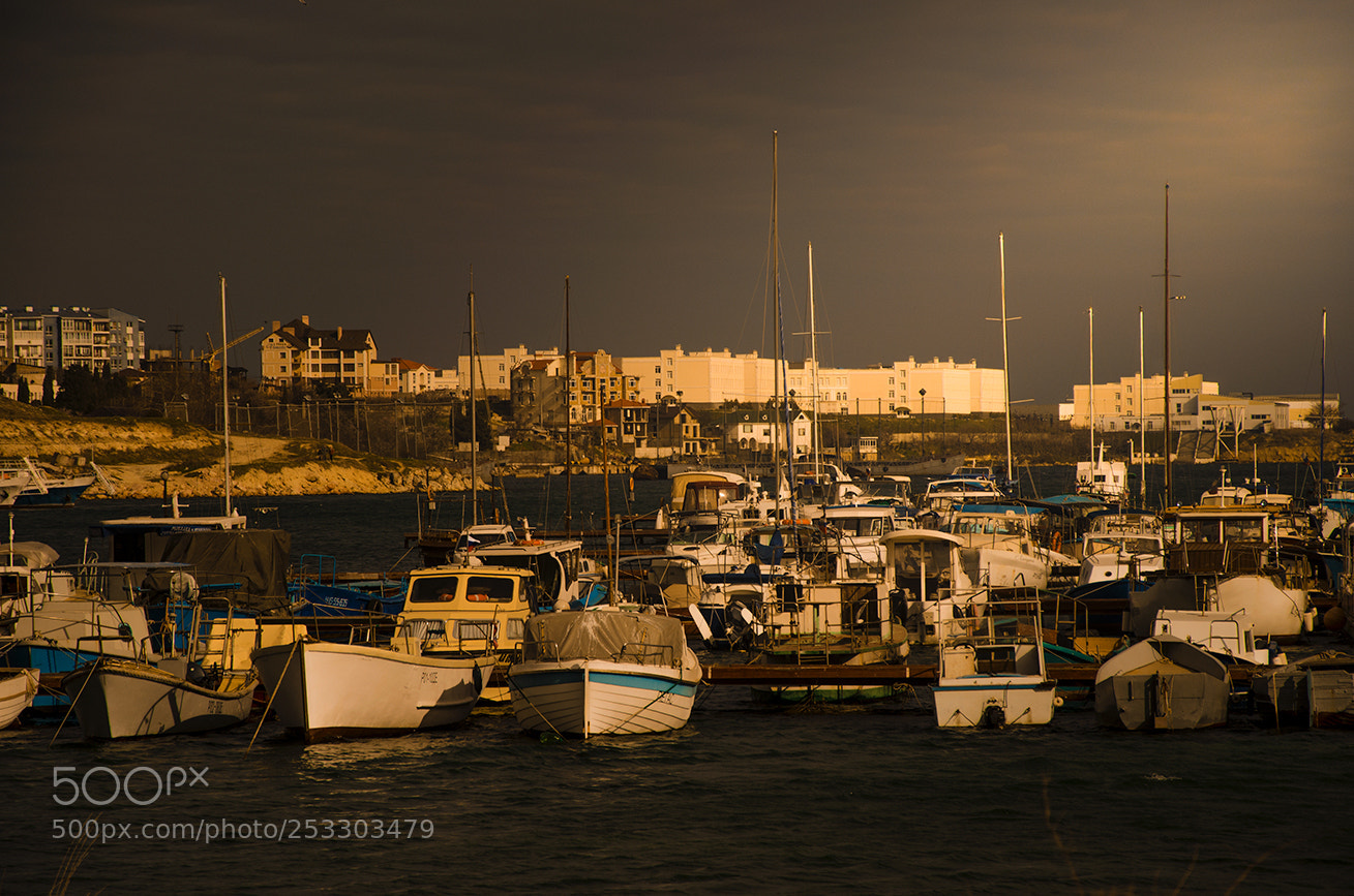 Nikon D7000 sample photo. In the bay of photography