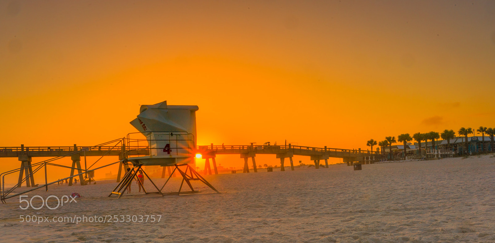 Sony a9 sample photo. Golden bright sunset photography