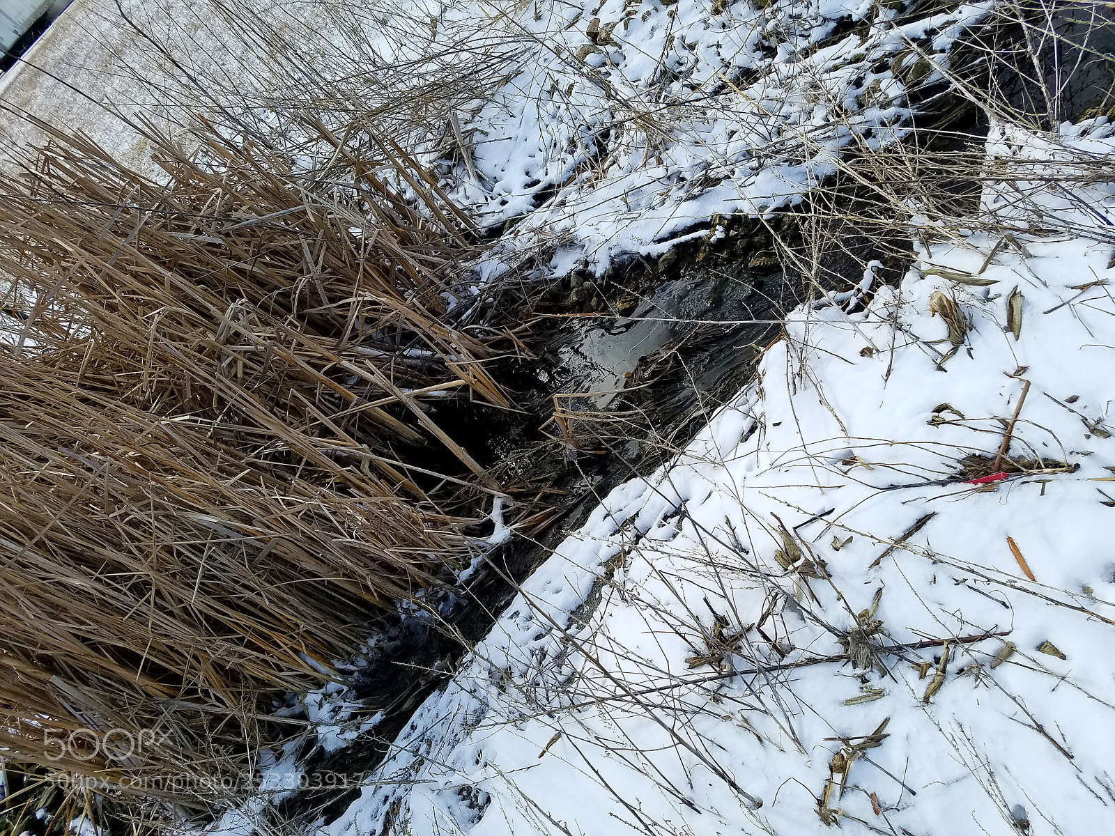 Samsung Galaxy S7 sample photo. Cold days photography