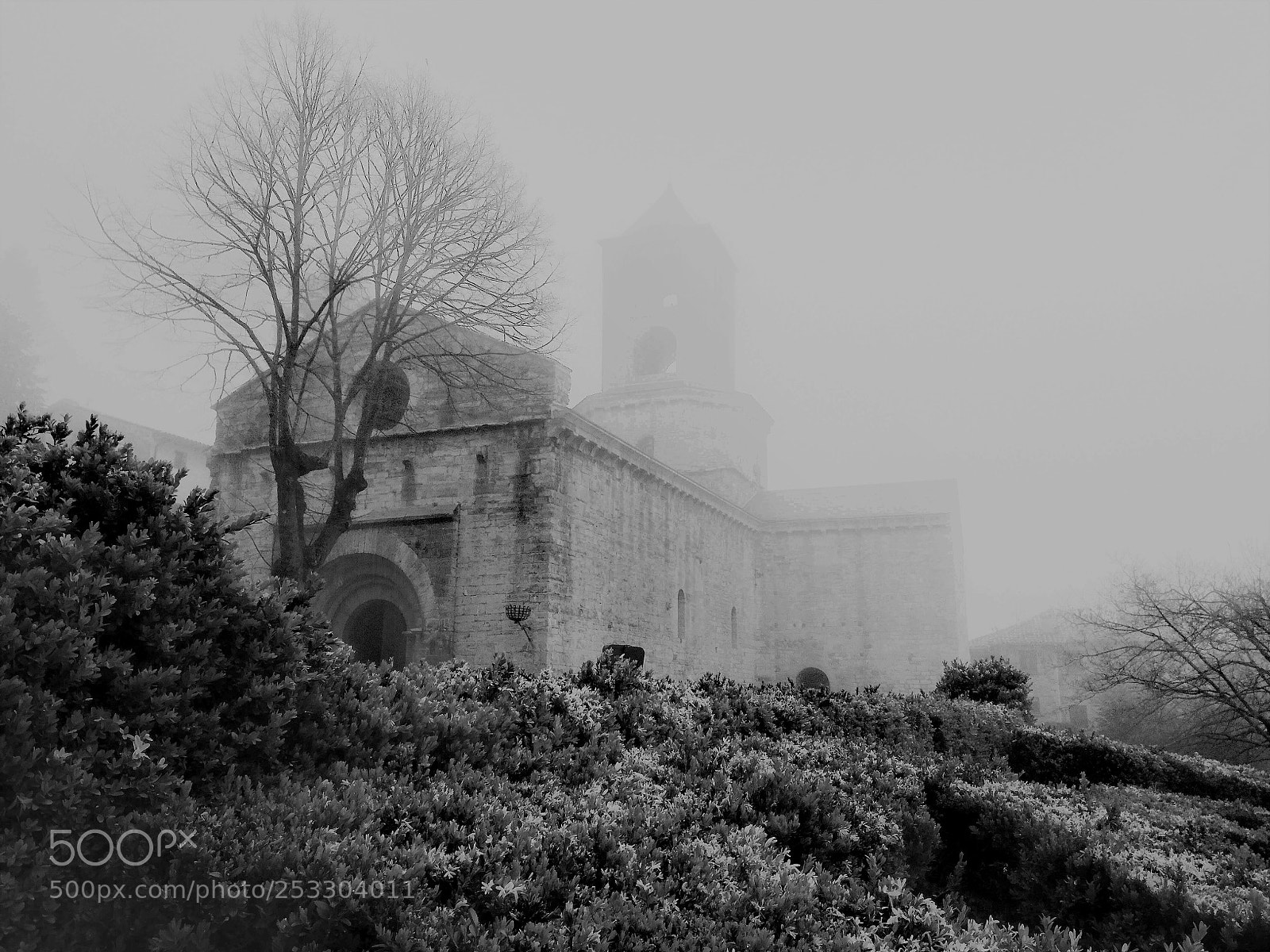 HUAWEI P9 LITE sample photo. Neblina photography