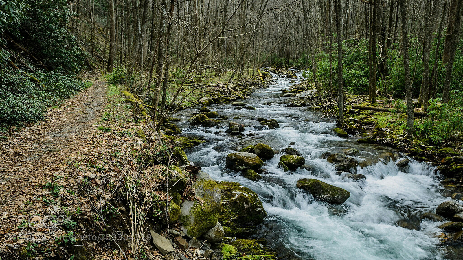Nikon D7000 sample photo. So are you with photography