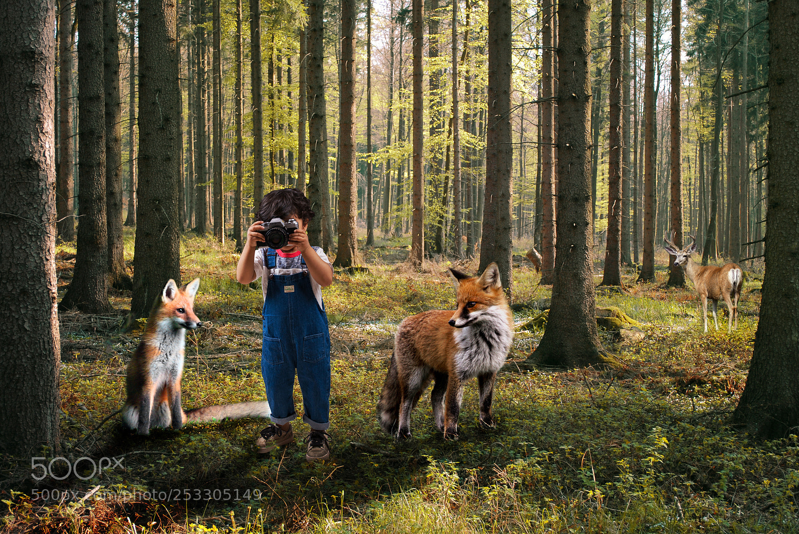 Nikon D60 sample photo. Child and foxes photography