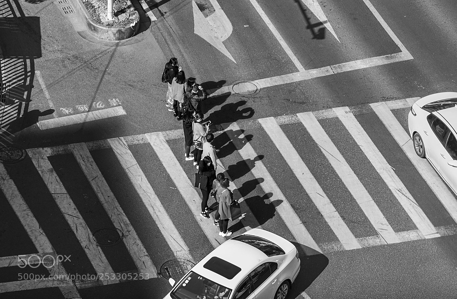 Canon EOS 5D Mark II sample photo. Pedestrians before the zebra photography