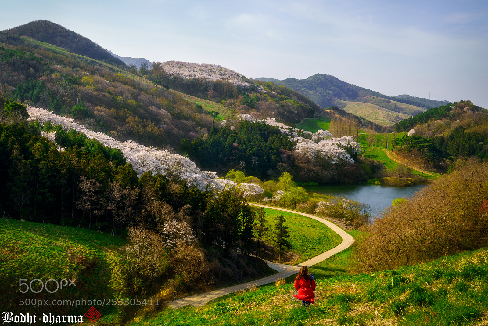 Sony a7R III sample photo. Spring field photography