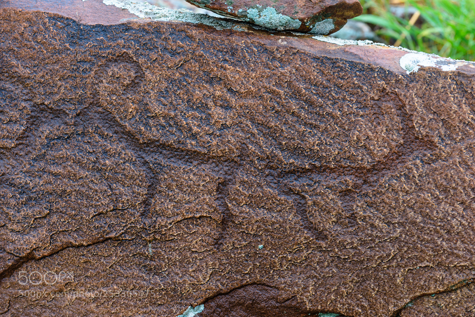 Nikon D810 sample photo. Petroglyphs of borolday photography