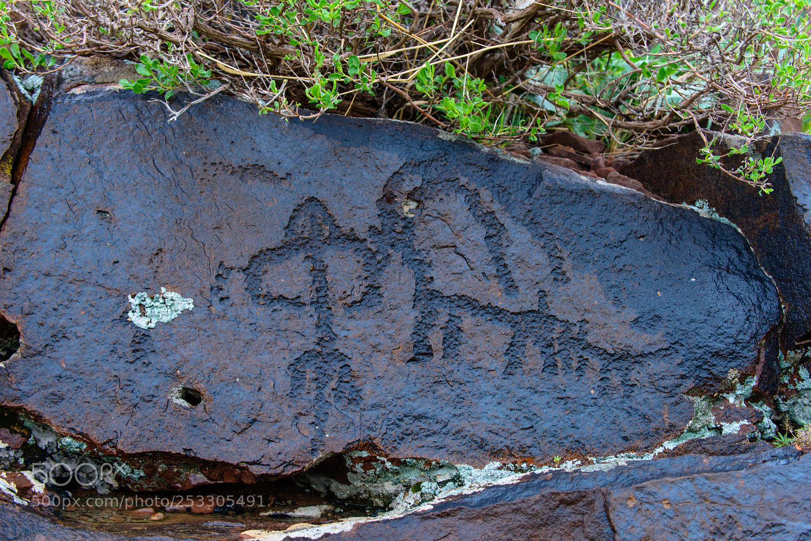 Nikon D810 sample photo. Petroglyphs of borolday photography