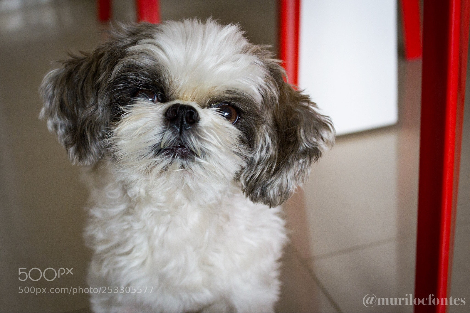 Nikon D3100 sample photo. Untitled photography