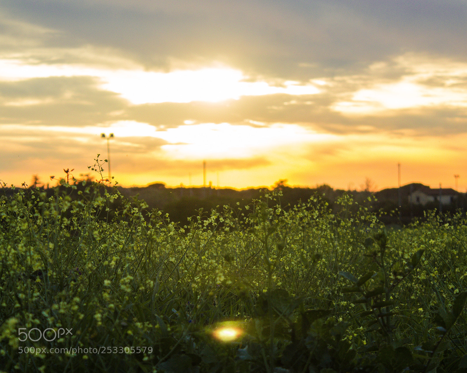 Canon EOS 600D (Rebel EOS T3i / EOS Kiss X5) sample photo. Sun is shining  photography