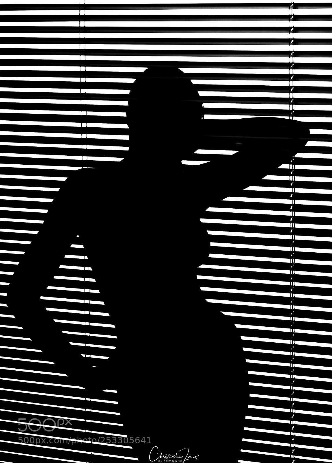 Nikon D4 sample photo. Coralie photography