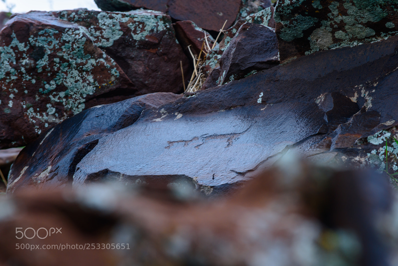 Nikon D810 sample photo. Petroglyphs of borolday photography
