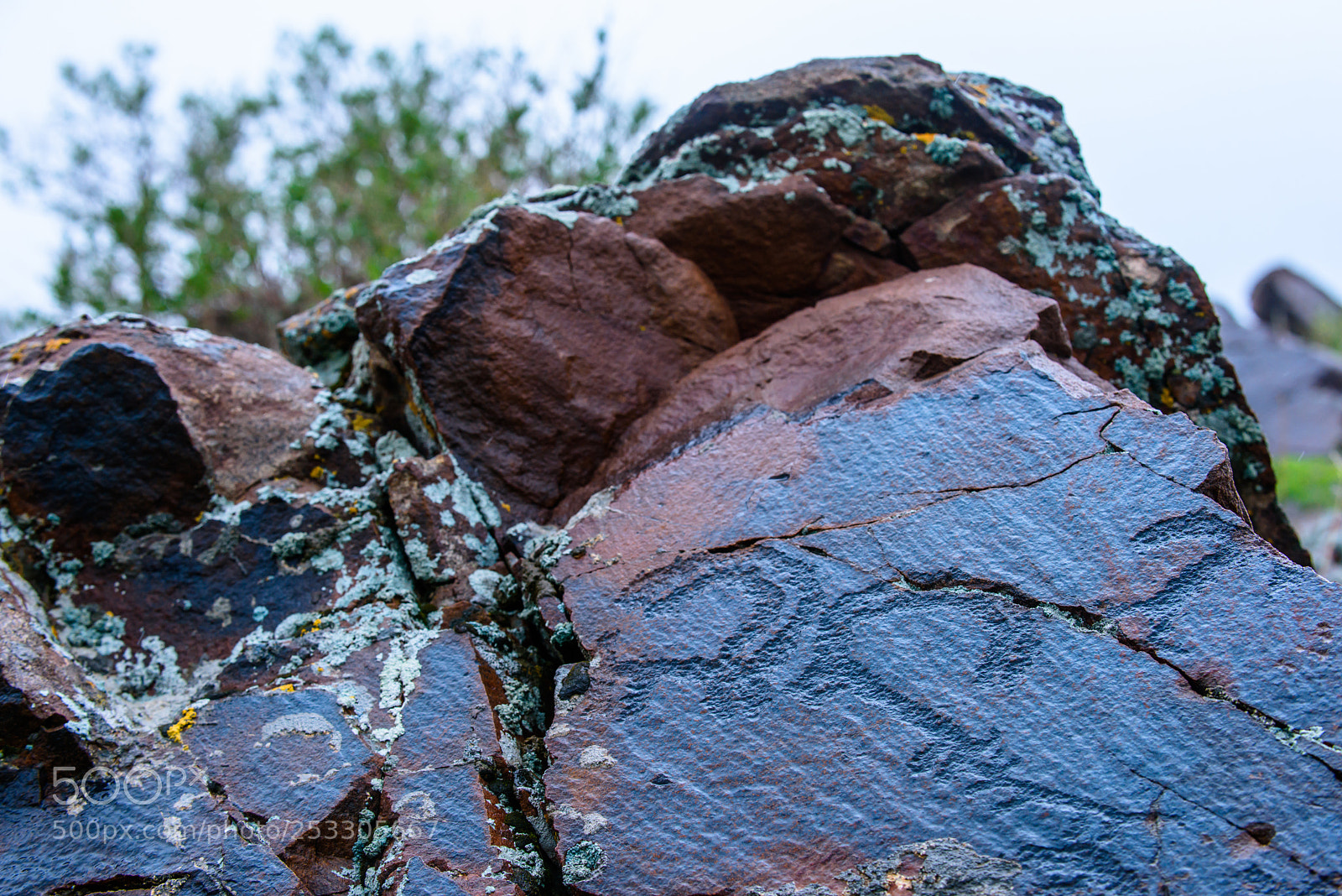 Nikon D810 sample photo. Petroglyphs of borolday photography