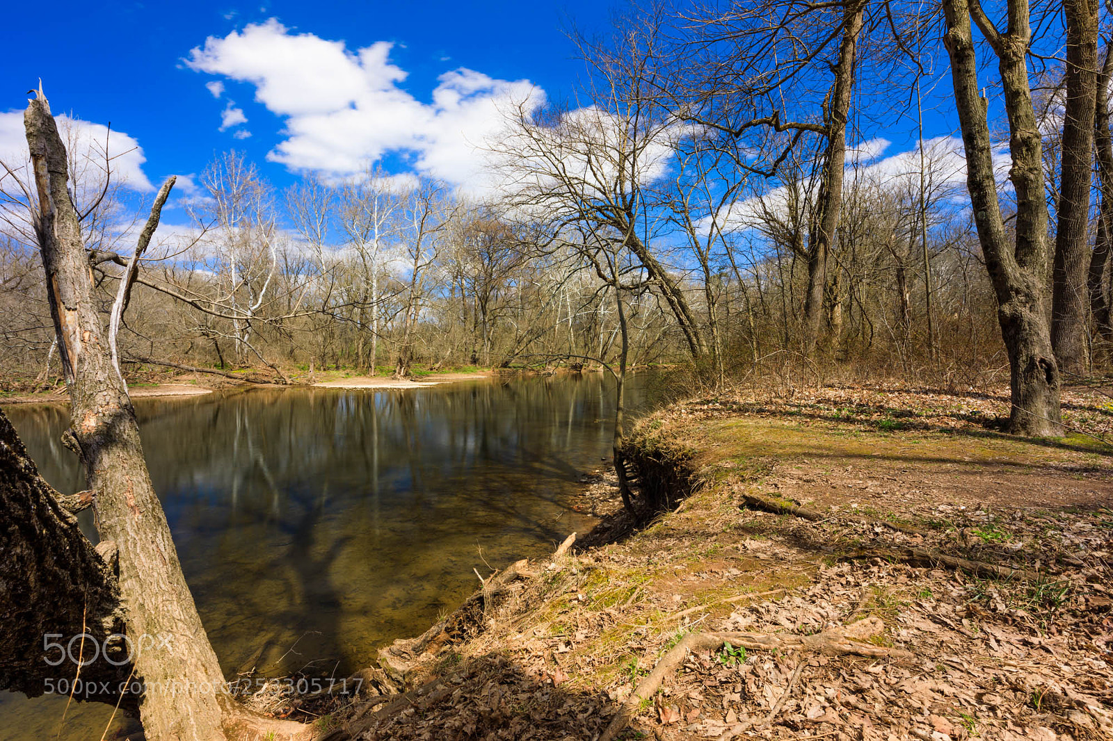 Canon EOS 5D Mark IV sample photo. Tyler state park ii photography