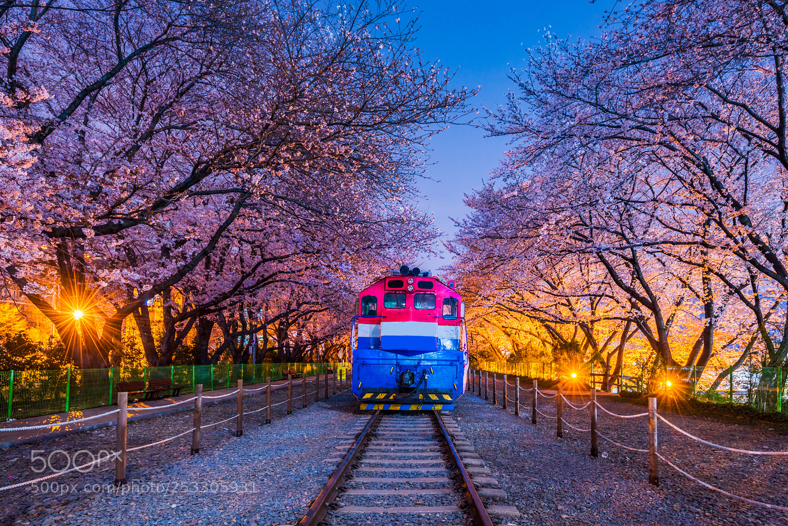 Nikon D810 sample photo. Gyeonghwa railway station,jinhae,korea photography