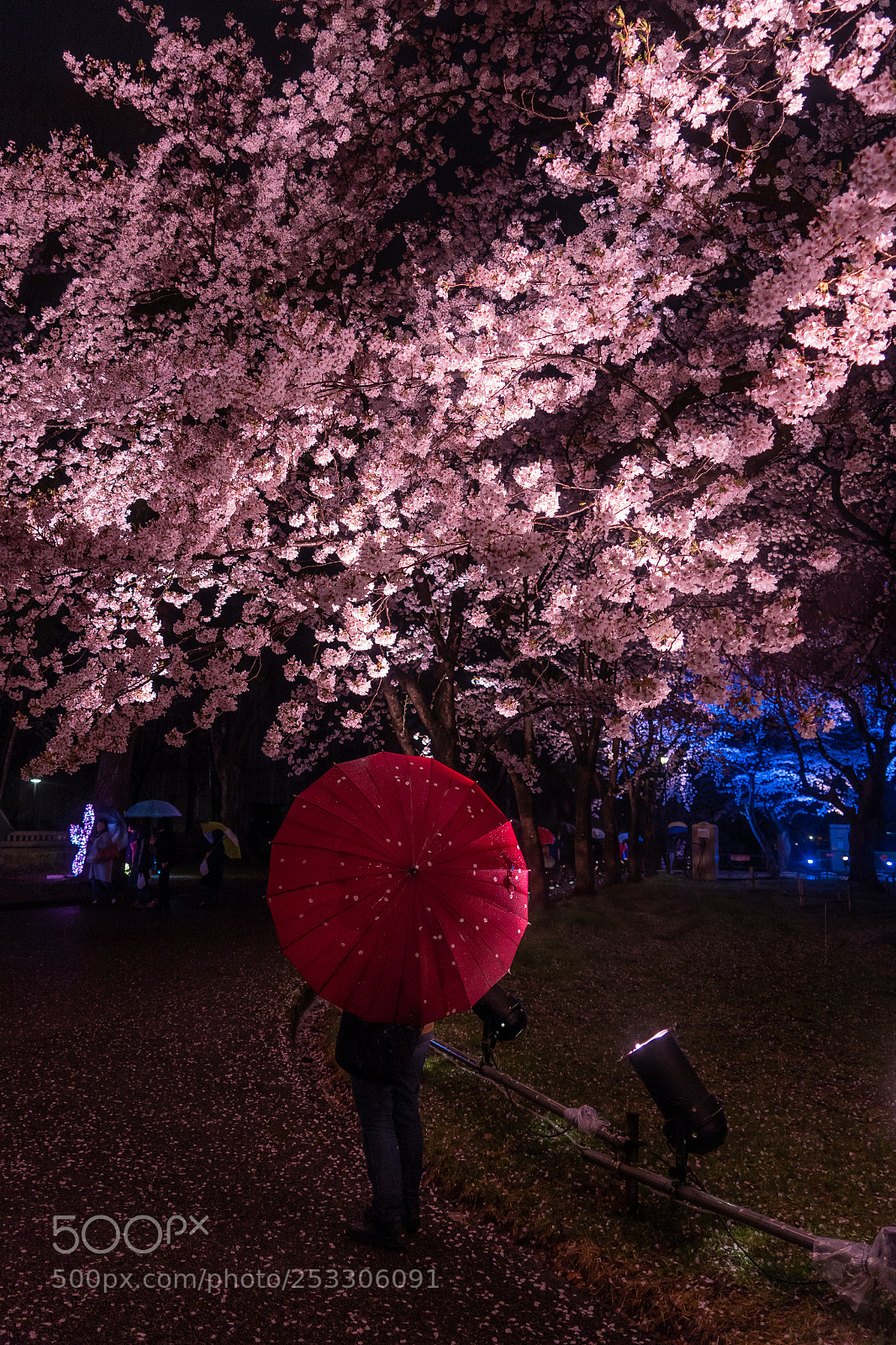 Sony a7 III sample photo. Red umbrella photography