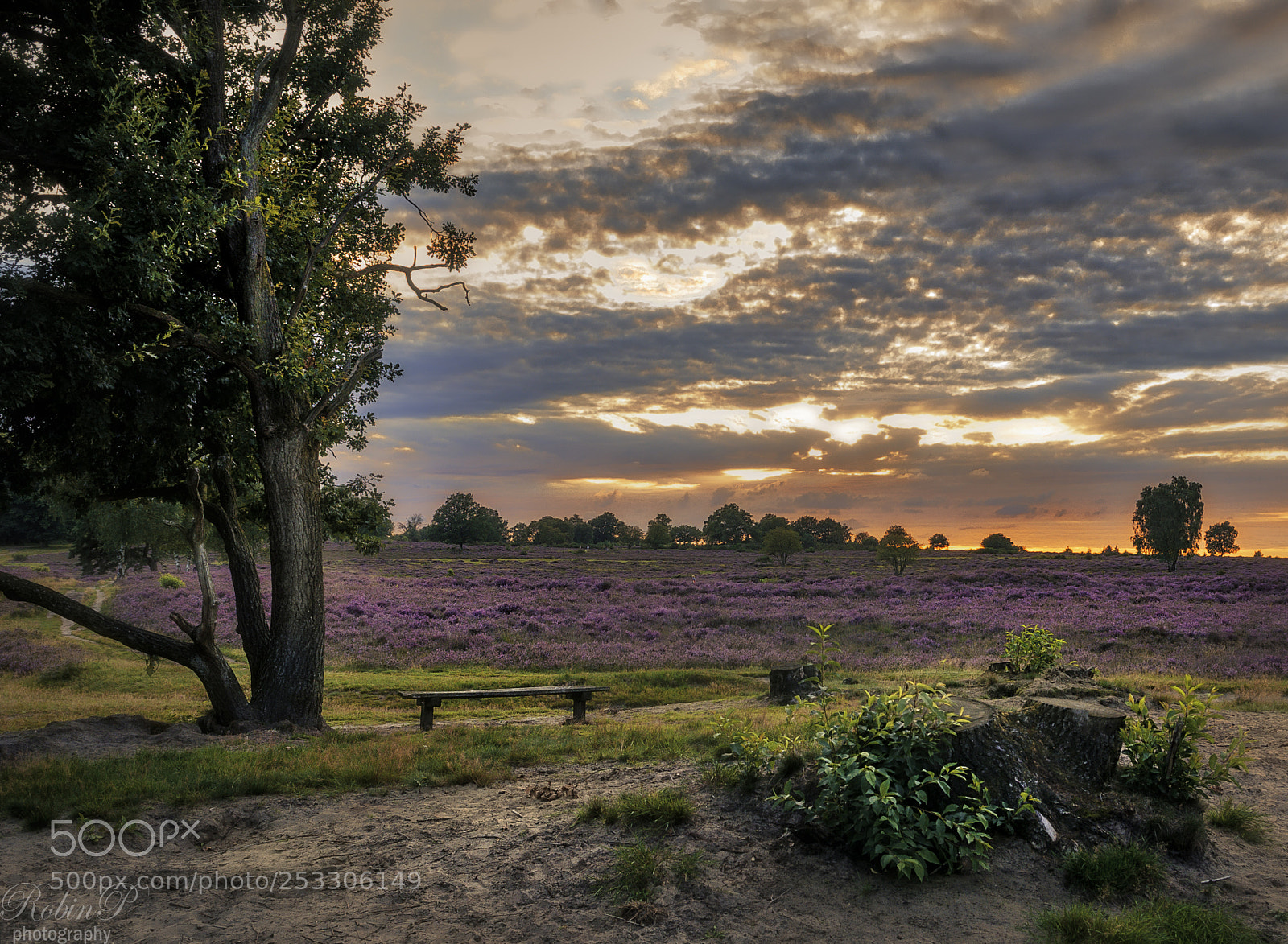 Nikon D5000 sample photo. Sunset photography