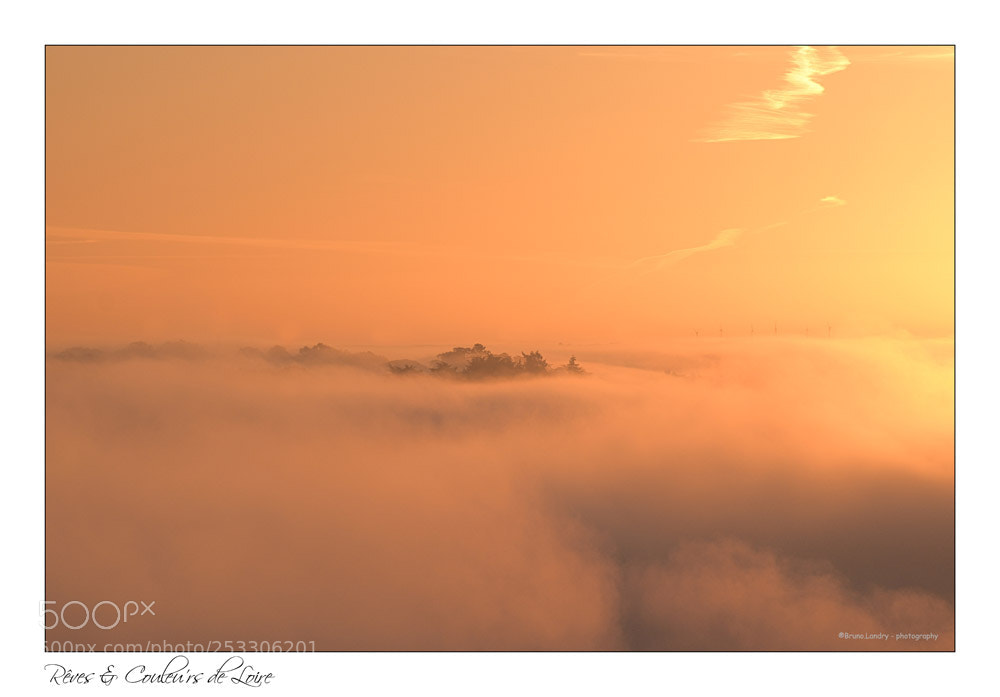 Nikon D5500 sample photo. Lumière de loire photography