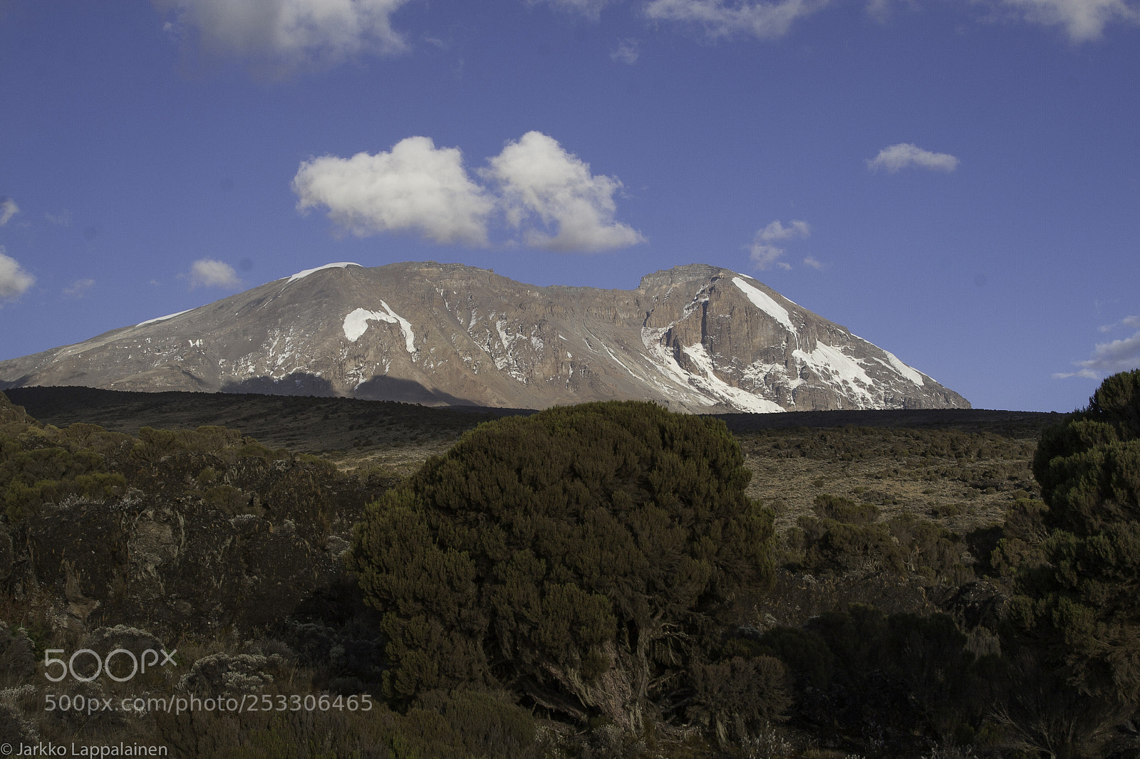 Canon EOS 20D sample photo. Kilimanjaro photography