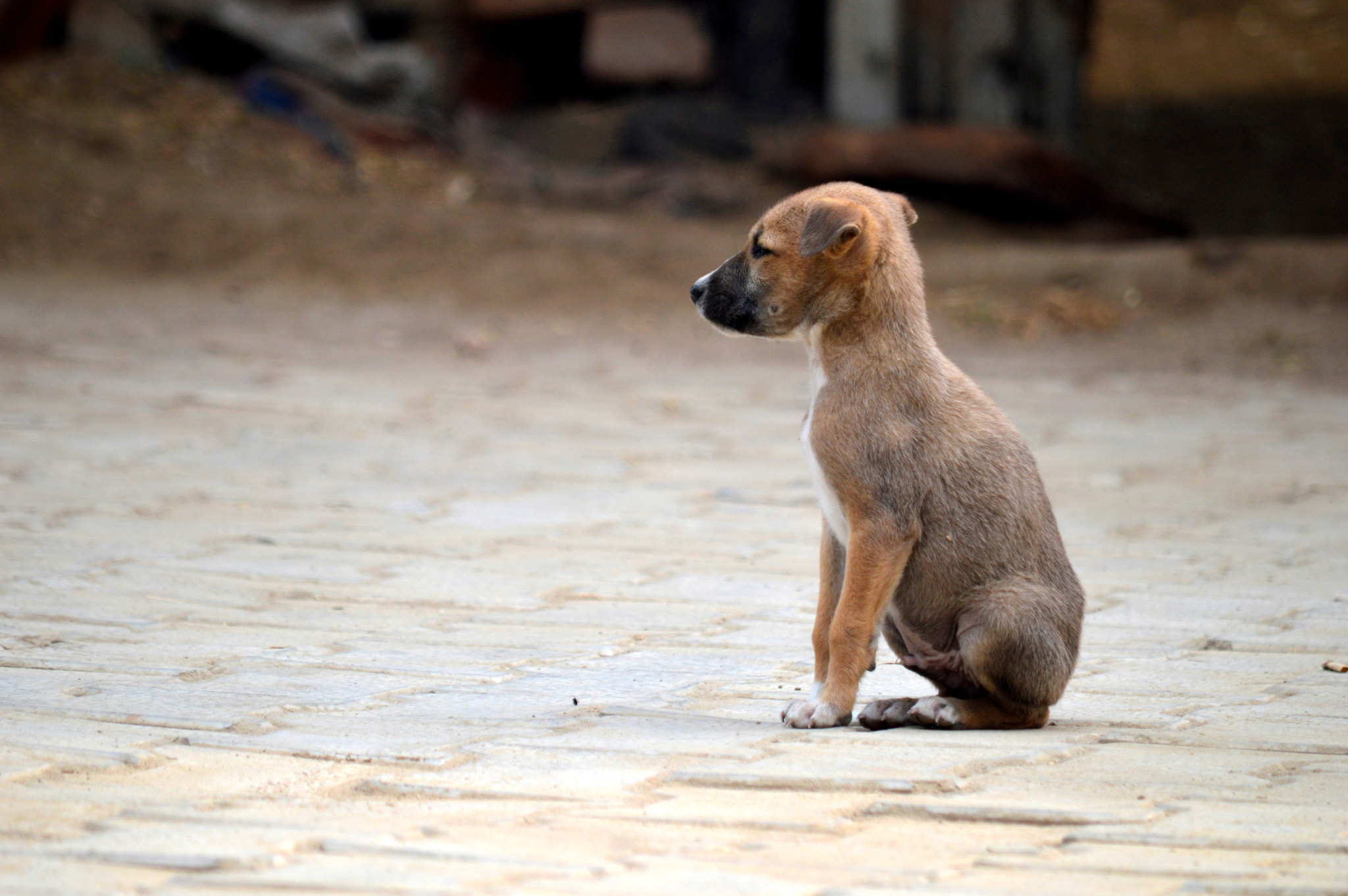 Nikon D3200 sample photo