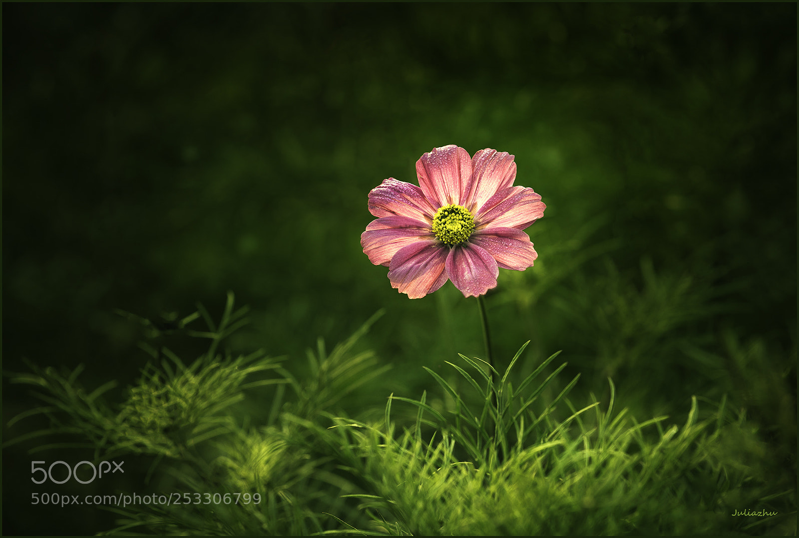 Canon EOS 5D Mark IV sample photo. Untitled photography